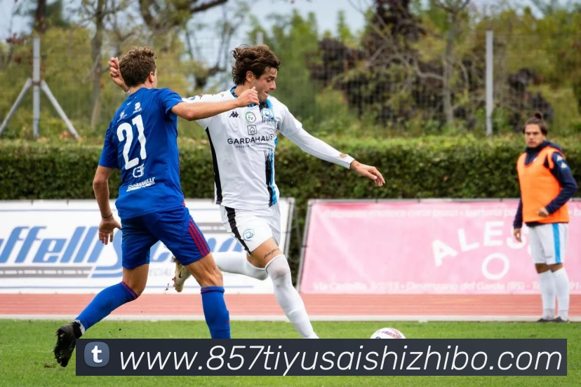 857体育赛事直播平台生态图